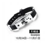 Zodiac Bracelet Scorpio-Brischik