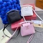LV Mid size luxury bag